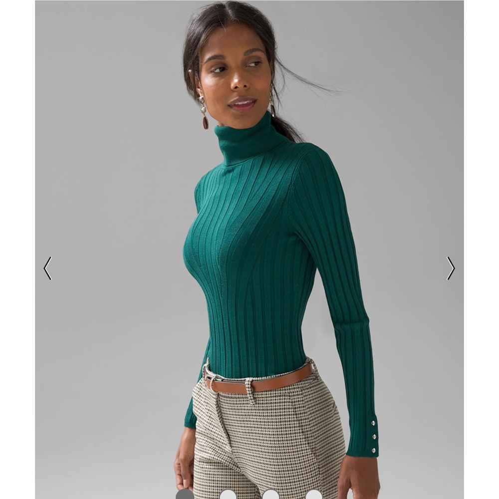 Deep mineral green turtle neck, NWT and receipt